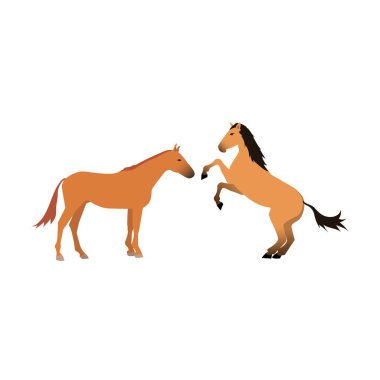 At vektör izole hayvan.