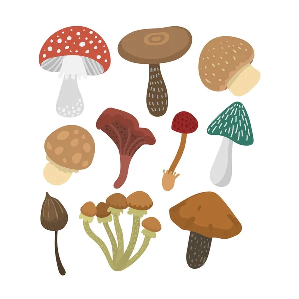 Mushrooms vector illustration set — Stock Vector