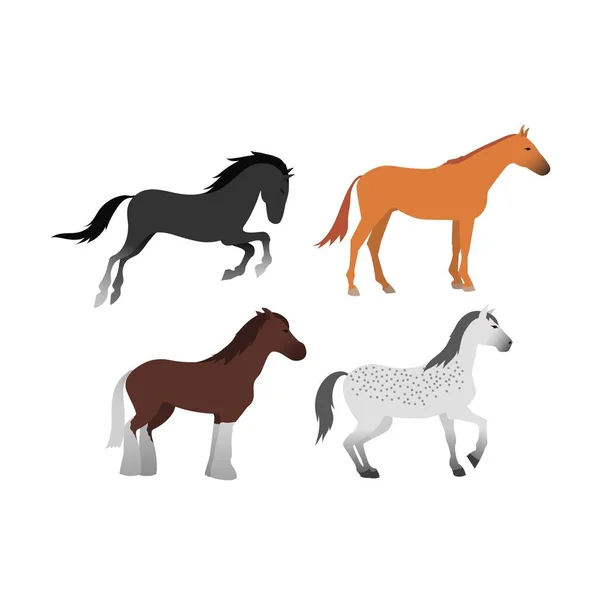 Paard vector geïsoleerde dier. — Stockvector