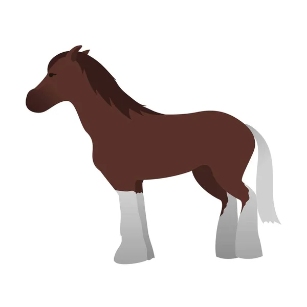 Paard vector geïsoleerde dier. — Stockvector