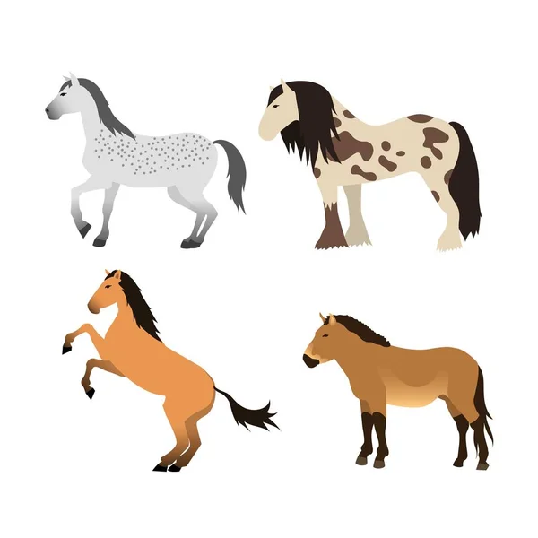 Caballo vector animal aislado . — Archivo Imágenes Vectoriales