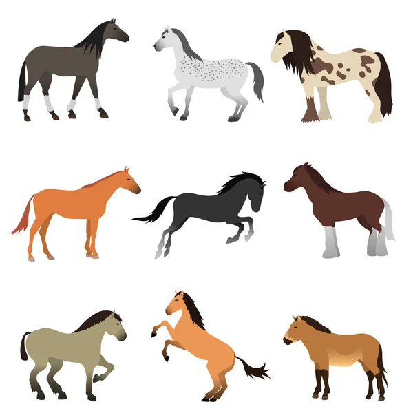 Diferentes cavalos raça vetor definido . — Vetor de Stock