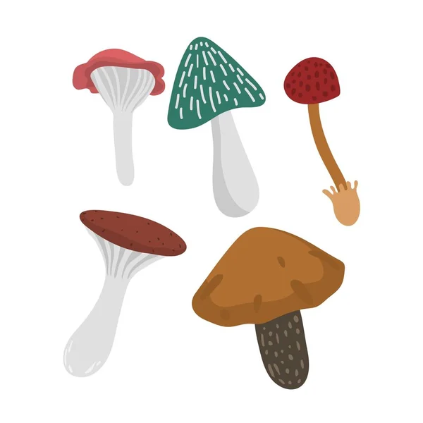 Set illustrazione vettoriale funghi — Vettoriale Stock