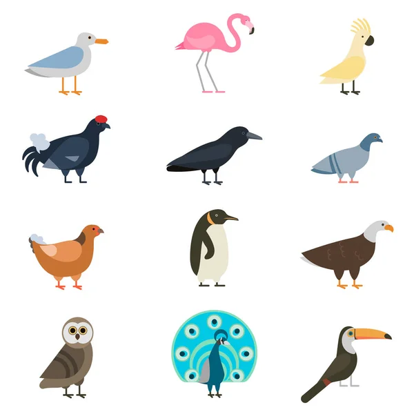 Aves vector conjunto ilustración aislado — Archivo Imágenes Vectoriales