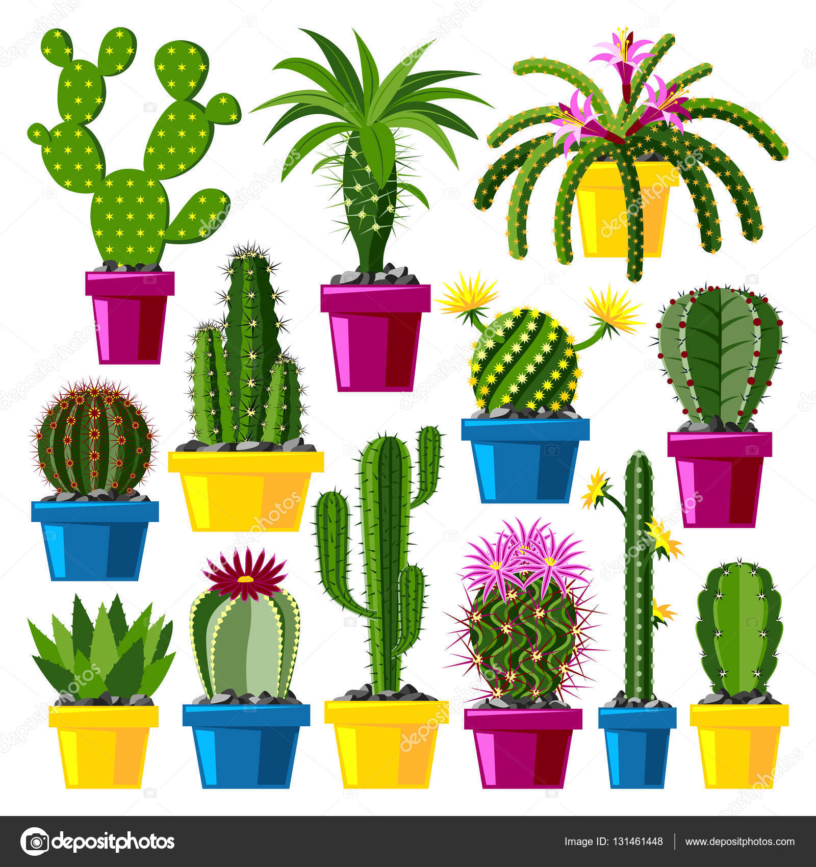 Ilustração de planta de oito cactos, Desenho Cactaceae Planta