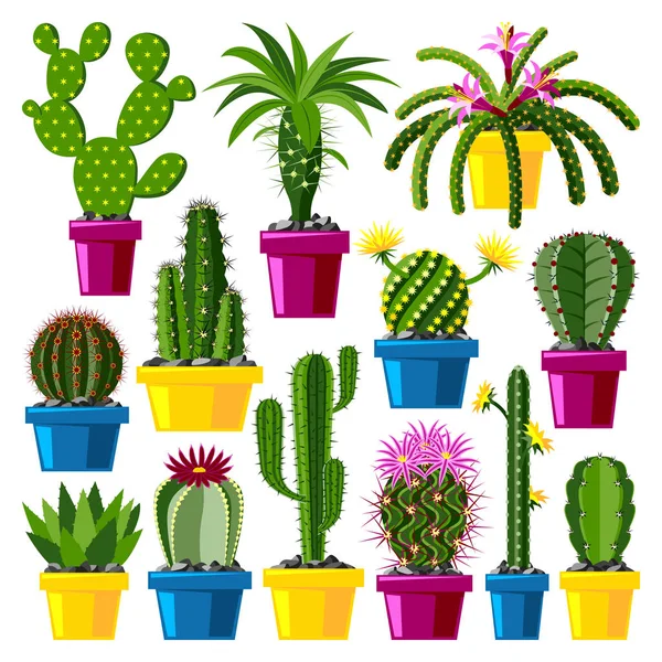 Linda colección de cactus de dibujos animados — Vector de stock