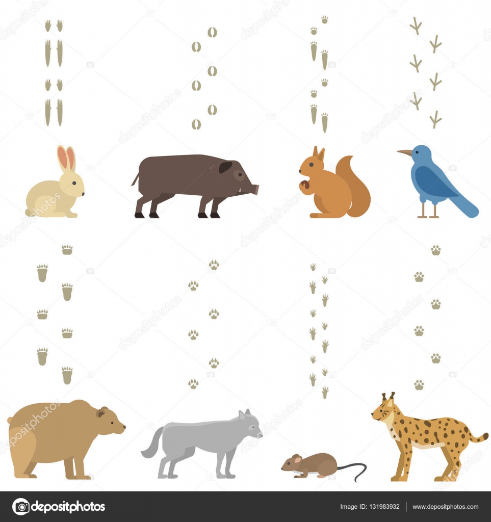 Animals steps vector set. — Stock Vector © VectorShow 131983932