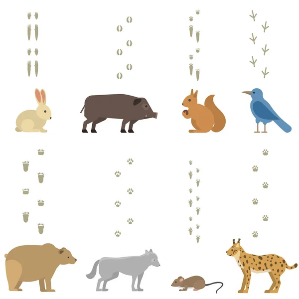 Animales pasos vector conjunto . — Vector de stock