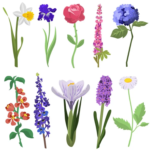 Gyönyörű akvarell virág készlet. — Stock Vector