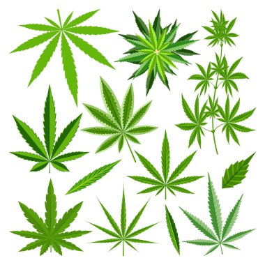 Marijuana leaf vector set clipart