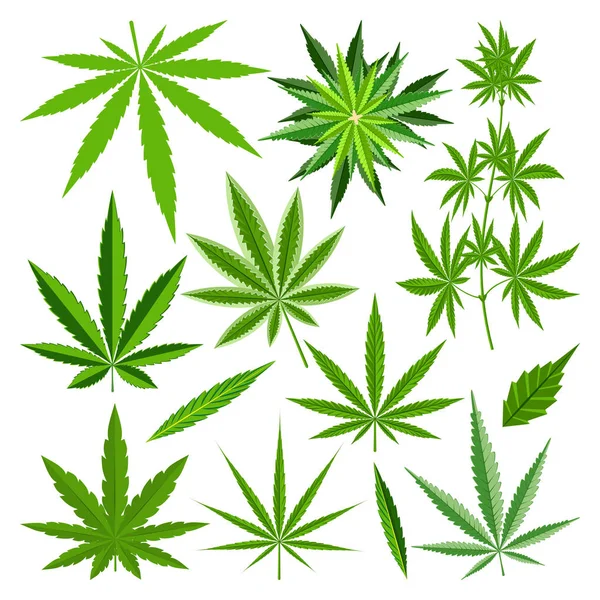 Marihuana liść wektor zestaw — Wektor stockowy