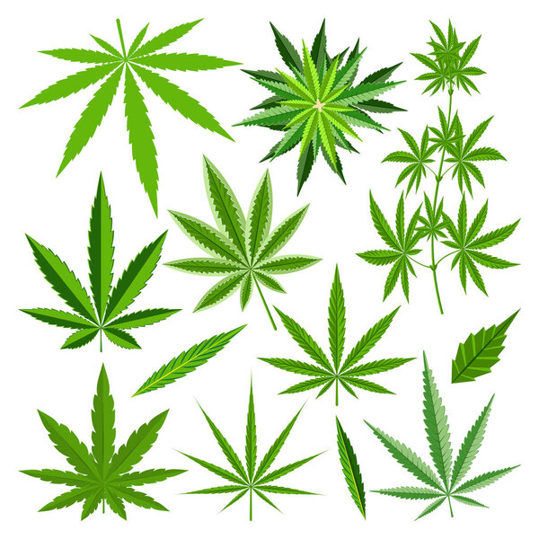 Marijuana leaf vector set