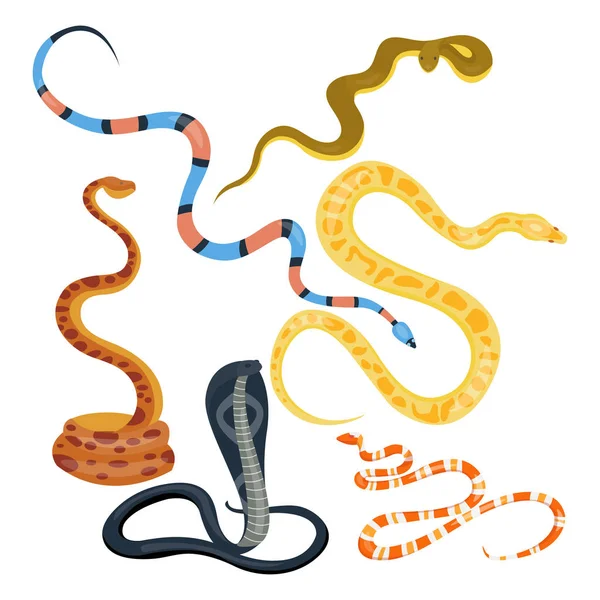 Serpiente reptil vector de dibujos animados conjunto . — Vector de stock