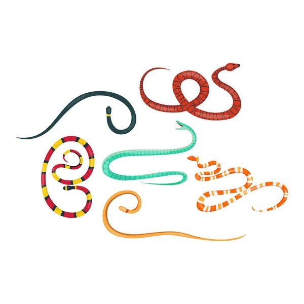 Serpiente reptil vector de dibujos animados conjunto . — Archivo Imágenes Vectoriales