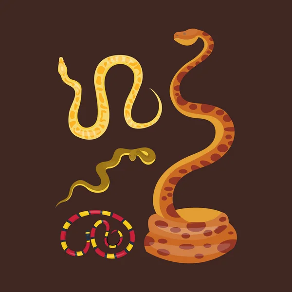 蛇爬行动物卡通矢量集. — 图库矢量图片