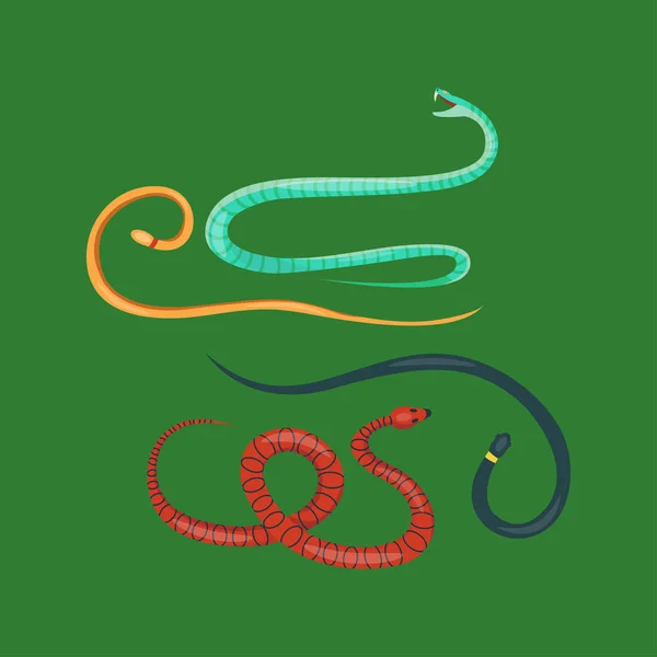 Serpiente reptil vector de dibujos animados conjunto . — Vector de stock