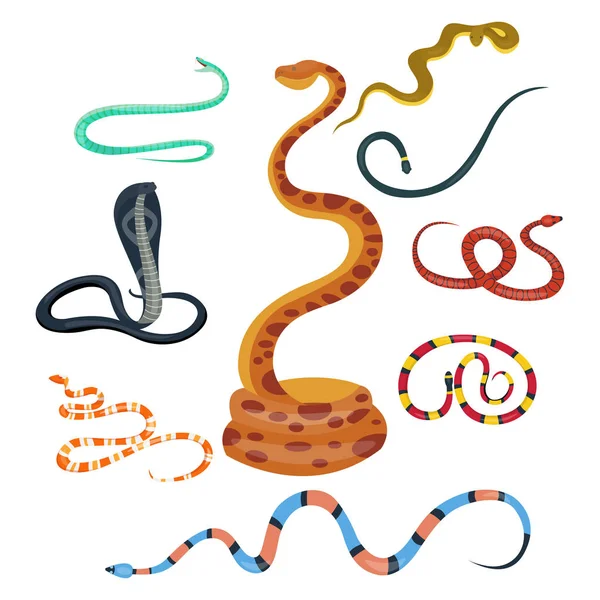 Snake reptile cartoon vector set.