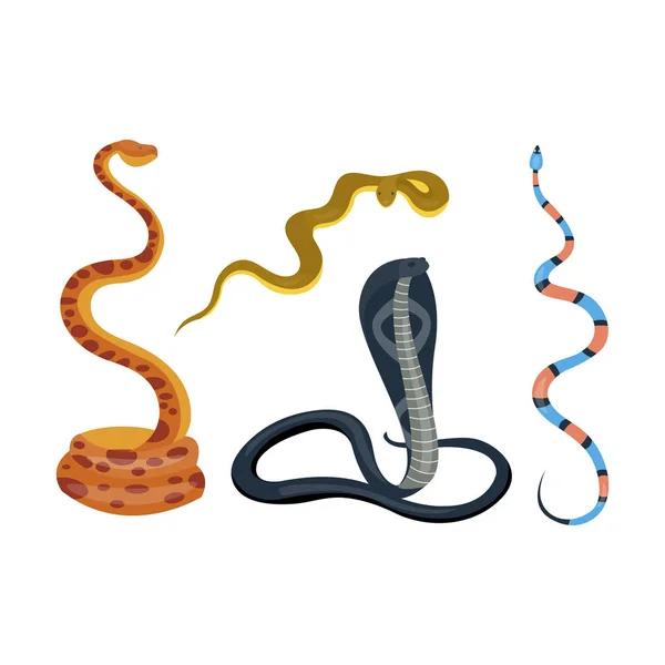 Ensemble vecteur de dessin animé reptile serpent . — Image vectorielle