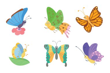renkli kelebekler vektör.
