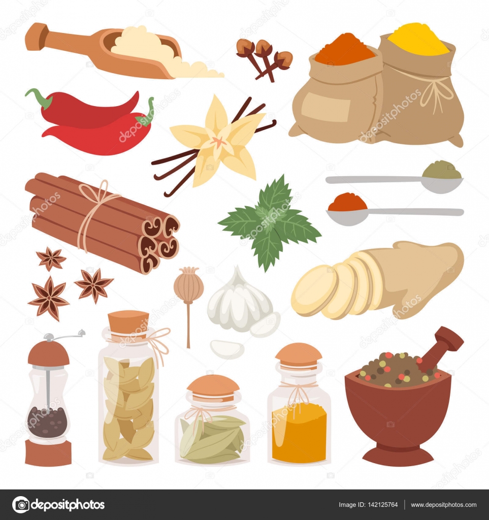 Herbs, spices, cooking condiments and vegetable seasonings vector