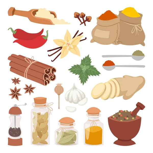 Condimentar las hierbas alimenticias ingrediente natural vector . — Archivo Imágenes Vectoriales