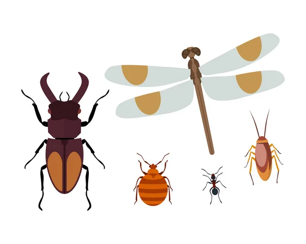 나비 벌레 개미와 야생 동물 거미 메뚜기 또는 모기 바퀴벌레 동물 생물학 그래픽 벡터 일러스트 레이 션 비행 곤충 아이콘 플랫 고립 된 자연. — 스톡 벡터