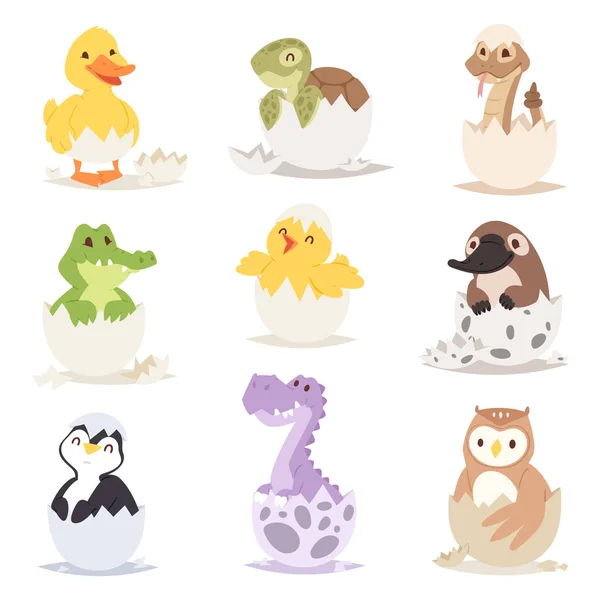 Animales recién nacidos lindos en huevos granja de Pascua criatura de vacaciones poca vida y cáscara joven pequeña mascota naturaleza cumpleaños adorable vida silvestre aves de corral pequeño carácter vector ilustración . — Vector de stock