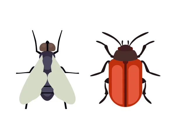 Icono de insecto plano aislado naturaleza volando mariposa escarabajo hormiga y vida silvestre araña saltamontes o mosquito cucaracha animal biología vector gráfico ilustración . — Archivo Imágenes Vectoriales