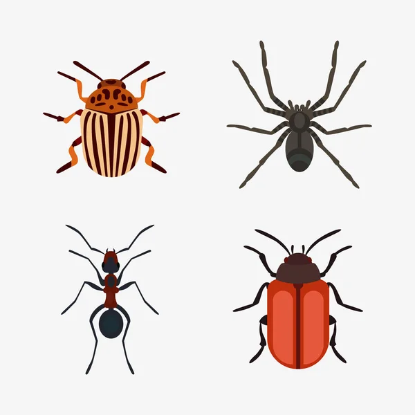 Insect icon flat isolated nature flying bugs beetle ant and wildlife spider grasshopper or mosquito cockroach animal biology graphic vector illustration. — Stock Vector