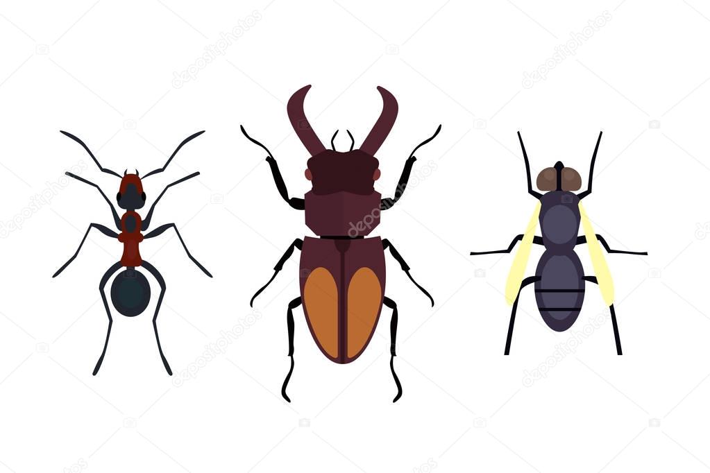 Insect icon flat isolated nature flying bugs beetle ant and wildlife spider grasshopper or mosquito cockroach animal biology graphic vector illustration.