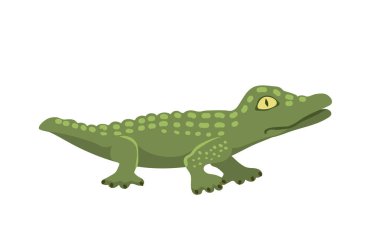 Çizgi film yeşil timsah tehlike predator ve Avustralya vahşi yaşam Nehri sürüngen etobur timsah ölçekler dişler düz vektör çizim ile.