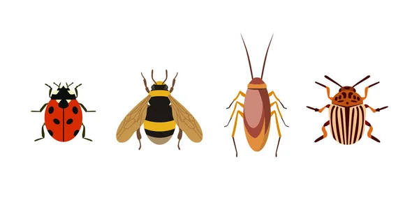 Insektensymbol flach isoliert Natur fliegende Käfer Käfer Ameise und Wildtiere Spinne Heuschrecke oder Mücke Schabe Tierbiologie Grafik Vektor Illustration. — Stockvektor