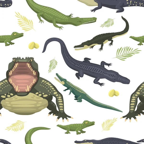 Карикатурный зеленый крокодил опасность хищник и австралийской дикой природы рептилии плотоядных аллигаторов с чешуйками зубы плоские векторные иллюстрации . — стоковый вектор