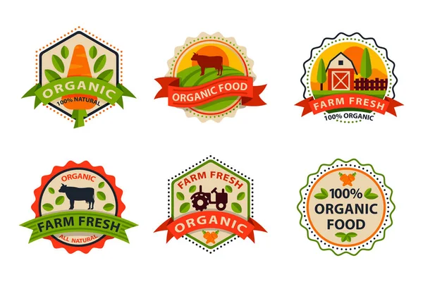 Estilo plano de bio orgânico eco alimento saudável rótulo logotipo modelo e vintage vegan fazenda elemento em cor verde alaranjado crachá vetor ilustração . — Vetor de Stock