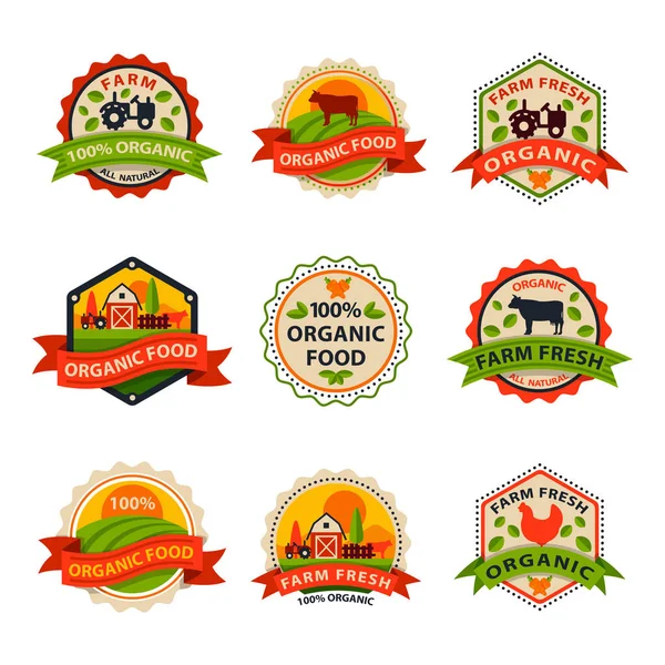 Lapos stílusú bio bio-öko egészséges élelmiszer címke logó sablon és a vintage vegán farm elem narancssárga színű jelvény vektoros illusztráció. — Stock Vector