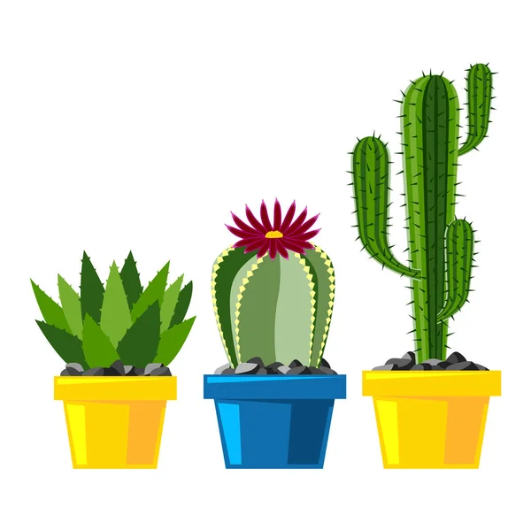Conjunto De Cactus Desert Cactos Flores Vetor Ilustração Stock - Ilustração  de aloés, isolado: 231350589