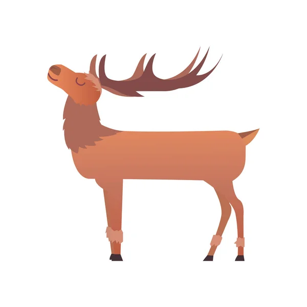 Navidad renos vacaciones mamífero ciervos celebración Navidad decoración lindo invierno arte nuevo año fauna animal carácter vector ilustración . — Vector de stock