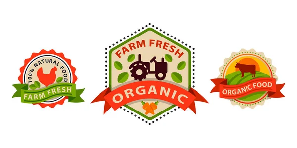 Flat style of bio organic eco healthy food label logo template and vintage vegan farm element in orange green color badge vector illustration. — Stock Vector