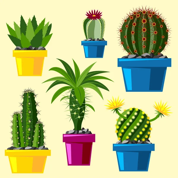 Gaya datar kaktus Kartun hijau gurun Kartun hijau gambar grafis mexican sukulen dan tropis tanaman seni cacti floral vector ilustrasi . - Stok Vektor