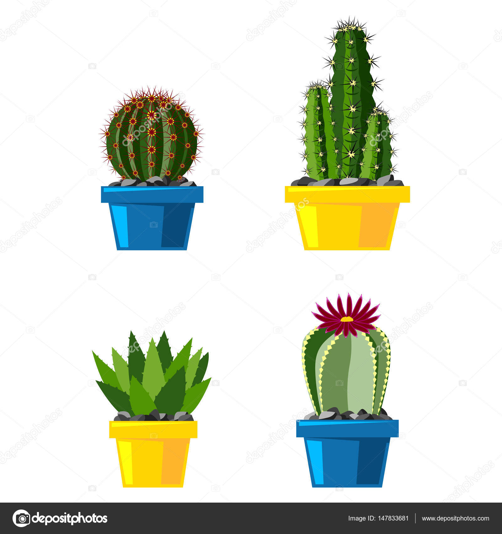 Cactus estilo plano natureza deserto flor verde desenho animado gráfico  mexicano suculento e tropical planta jardim arte cactos floral vetor  ilustração . imagem vetorial de © VectorShow #147833681