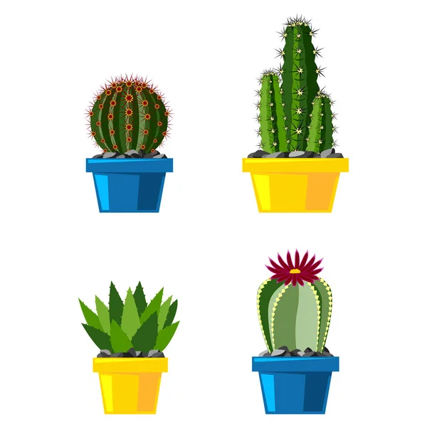 Cactus แบนสไตล์ธรรมชาติทะเลทรายดอกไม้สีเขียวการ์ตูนวาดภาพเม็กซิกันพืชฉ่ําและเขตร้อนศิลปะสวน cacti ภาพเวกเตอร์ดอกไม้ . — ภาพเวกเตอร์สต็อก