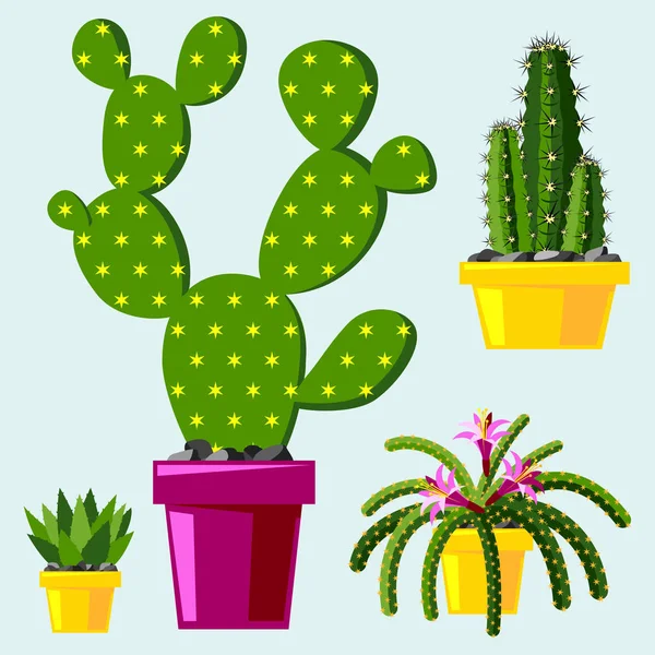 Cactus estilo plano natureza deserto flor verde desenho animado gráfico mexicano suculento e tropical planta jardim arte cactos floral vetor ilustração . —  Vetores de Stock