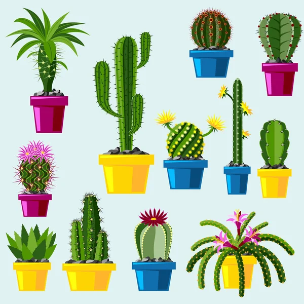 Cactus estilo plano natureza deserto flor verde desenho animado gráfico mexicano suculento e tropical planta jardim arte cactos floral vetor ilustração . —  Vetores de Stock