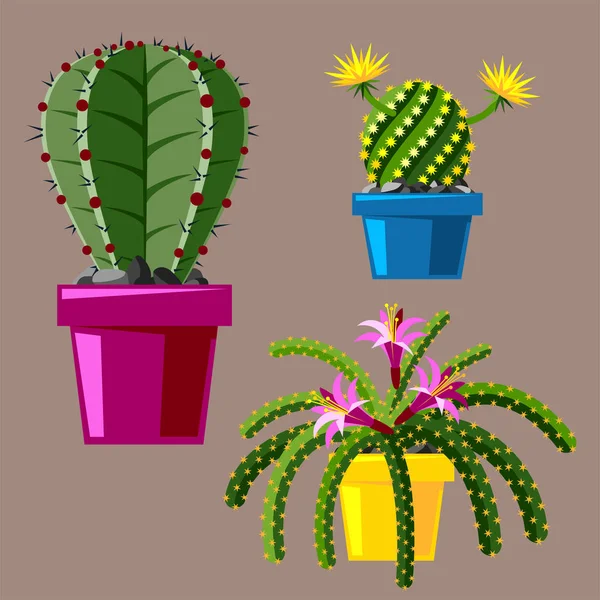 Cactus stil plat natura deșert floare verde desen animat grafic mexican suculent și plantă tropicală grădină artă cactuși vector floral ilustrare . — Vector de stoc