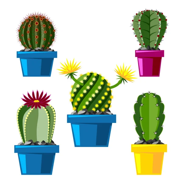 Кактус плоский стиль природы пустыня цветок зеленый мультфильм рисование графические мексиканские сочные и тропические растения сад искусство кактусы цветочный вектор иллюстрация . — стоковый вектор