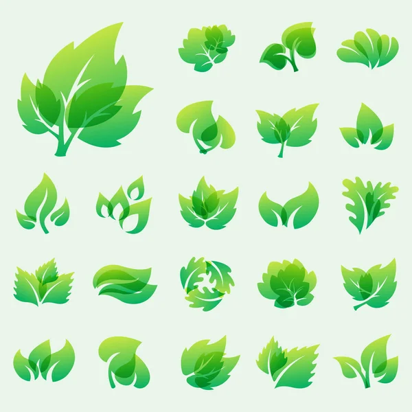 Πράσινο φύλλο σχεδιασμού eco φιλική φύση σύμβολο κομψότητας και φυσικό στοιχείο οικολογία οργανικά διανυσματικά εικονογράφηση. — Διανυσματικό Αρχείο