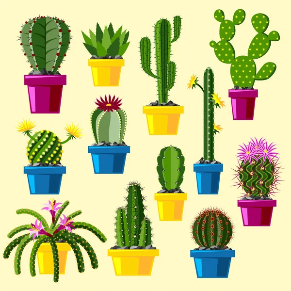 Cactus stil plat natura deșert floare verde desen animat grafic mexican suculent și plantă tropicală grădină artă cactuși vector floral ilustrare . — Vector de stoc