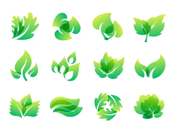 Hoja verde diseño ecológico naturaleza elegancia símbolo y elemento natural ecología vector orgánico ilustración . — Archivo Imágenes Vectoriales