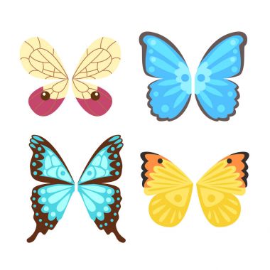 İzole hayvan tüyü pinyon özgürlük uçuş ve doğal Şahin hayat barış tasarım öğesi kartal kanatlı yan shapevector illüstrasyon uçan kanat kelebek.