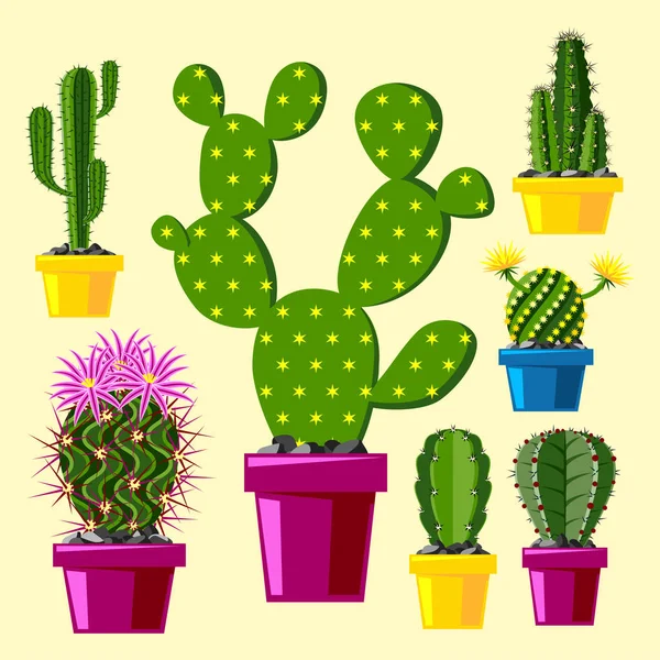 Ilustração Realista Do Vetor De Uma Planta Doméstica. Cactus Florescente  Suculento Num Vaso Ilustração do Vetor - Ilustração de desenho, cacto:  214390555